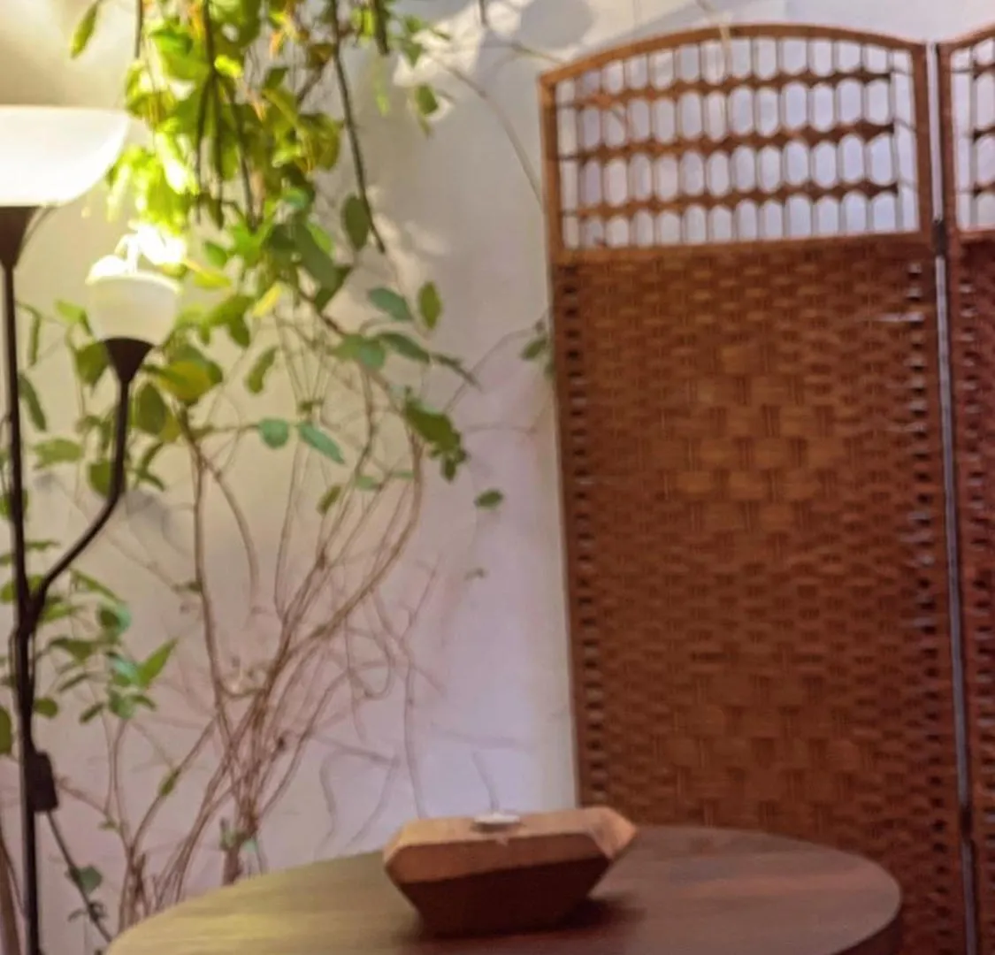 Heritage House 123 George Town Hostel